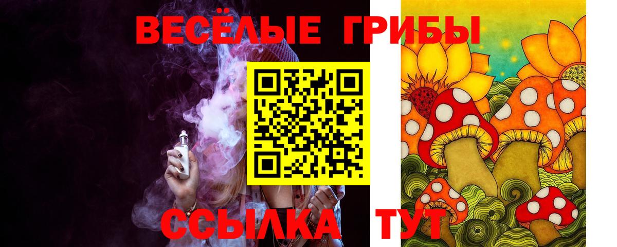 Псилоцибиновые грибы Cubensis Керчь