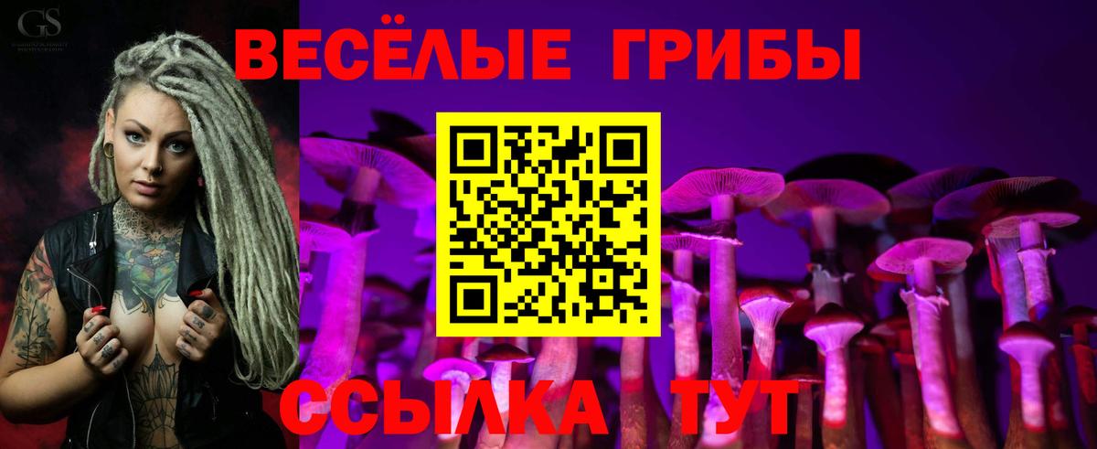 Псилоцибиновые грибы Psilocybine cubensis  Вход с VPN  Керчь  Галлюциногенные грибы мухоморы 